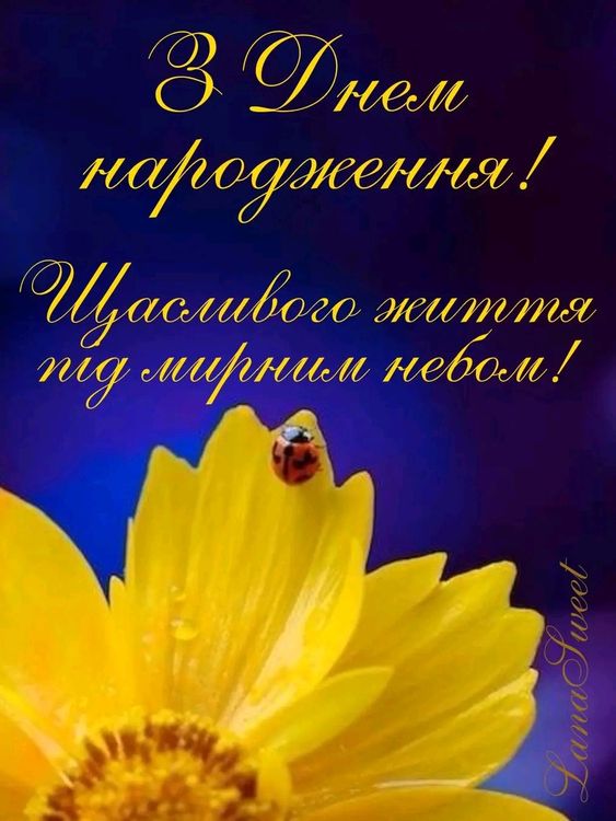 З Днем Народження Чоловічі Привітання ⚡ Короткі, Патріотичні, Коханому ...