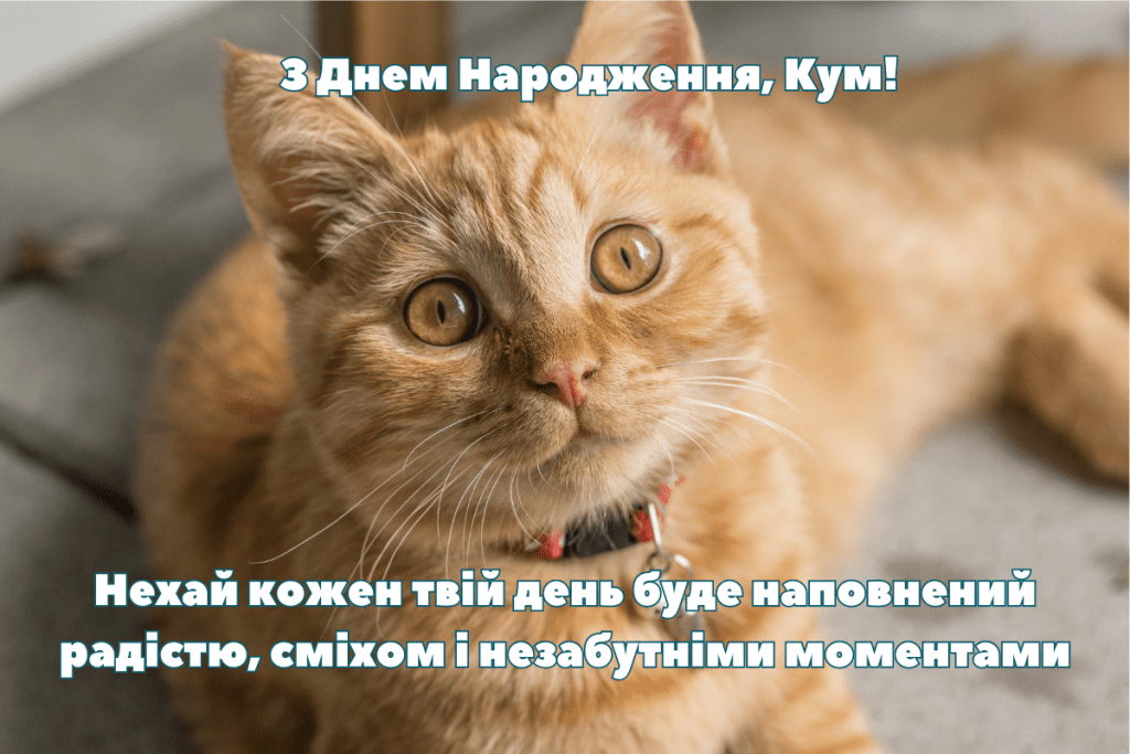 З днем народження кум картинки