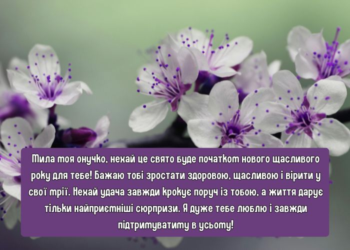 Картинки з днем народження внучки від бабусі