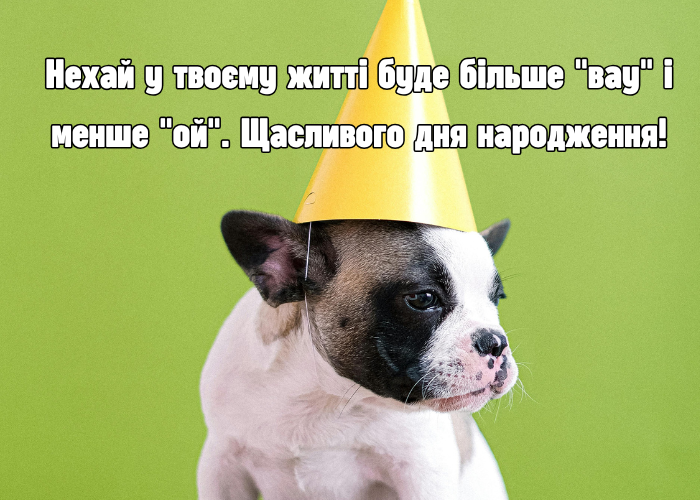 Смішні та прикольні листівки з днем ​​народження