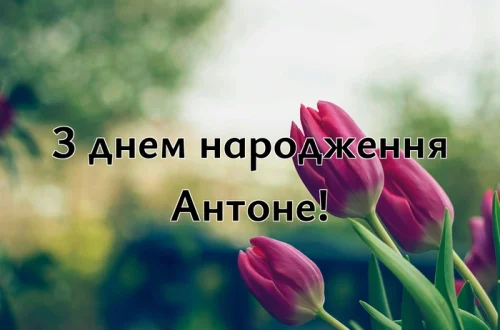 з днем народження Антоне