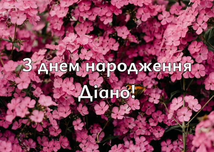 з днем народження Діано