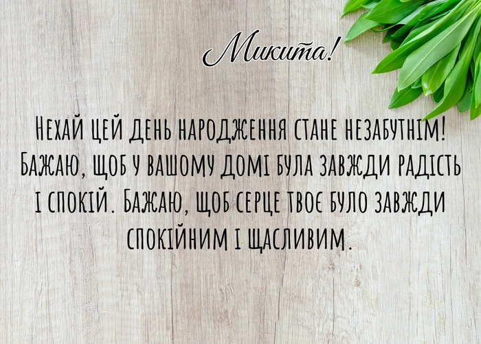 Топ-10 найкращих привітань з днем народження Микито!