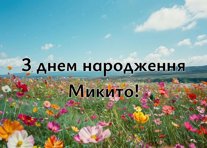 Топ-10 найкращих привітань з днем народження Микито!