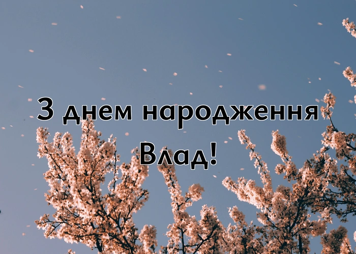 з днем народження Владиславе