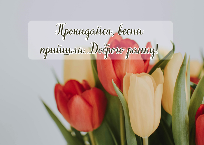 доброго весняного ранку