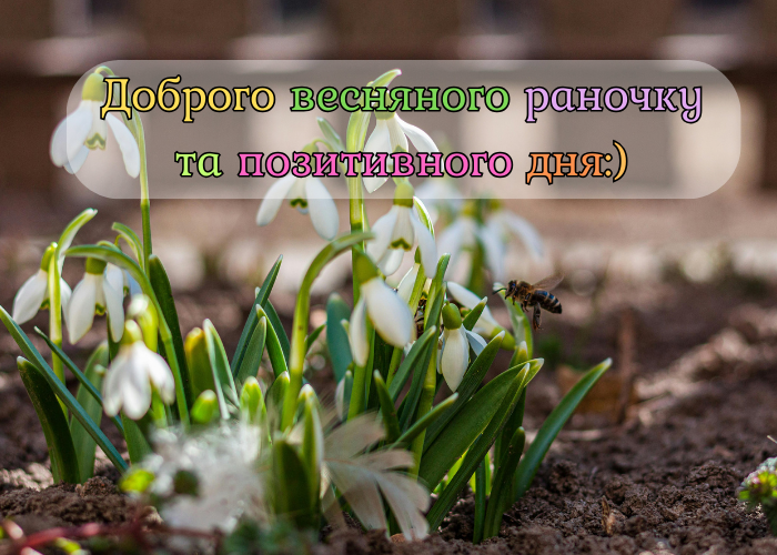 весняного ранку