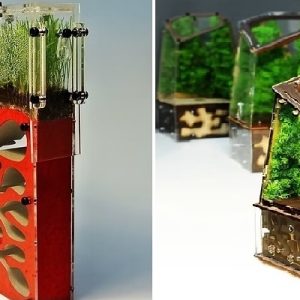 Чому мурашині ферми з маркетплейсів убивають комах та отруюють повітря в дитячих кімнатах